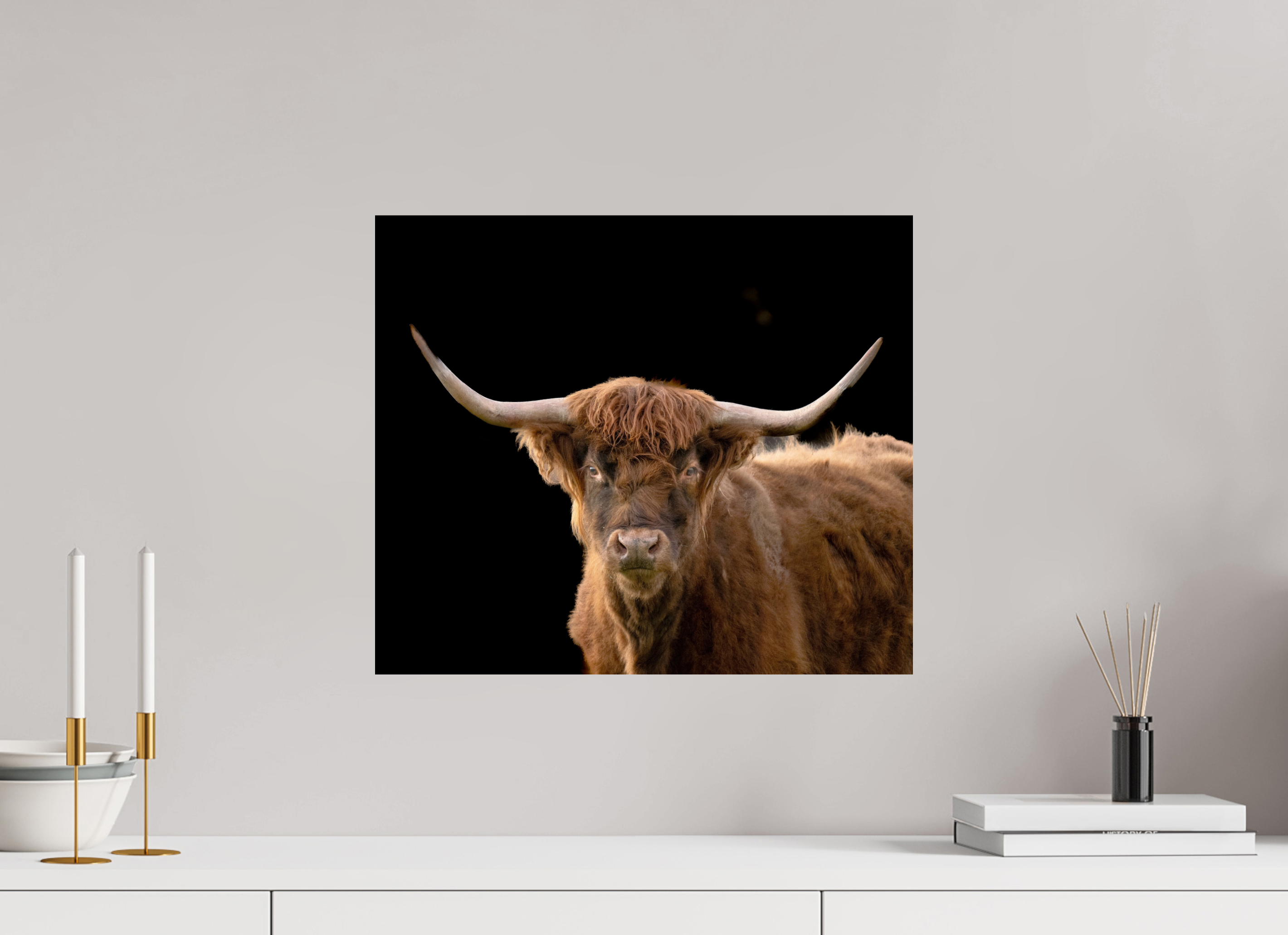 18.7 x 16″, Photo Print On Fuji Crystal DP II The Long Horn