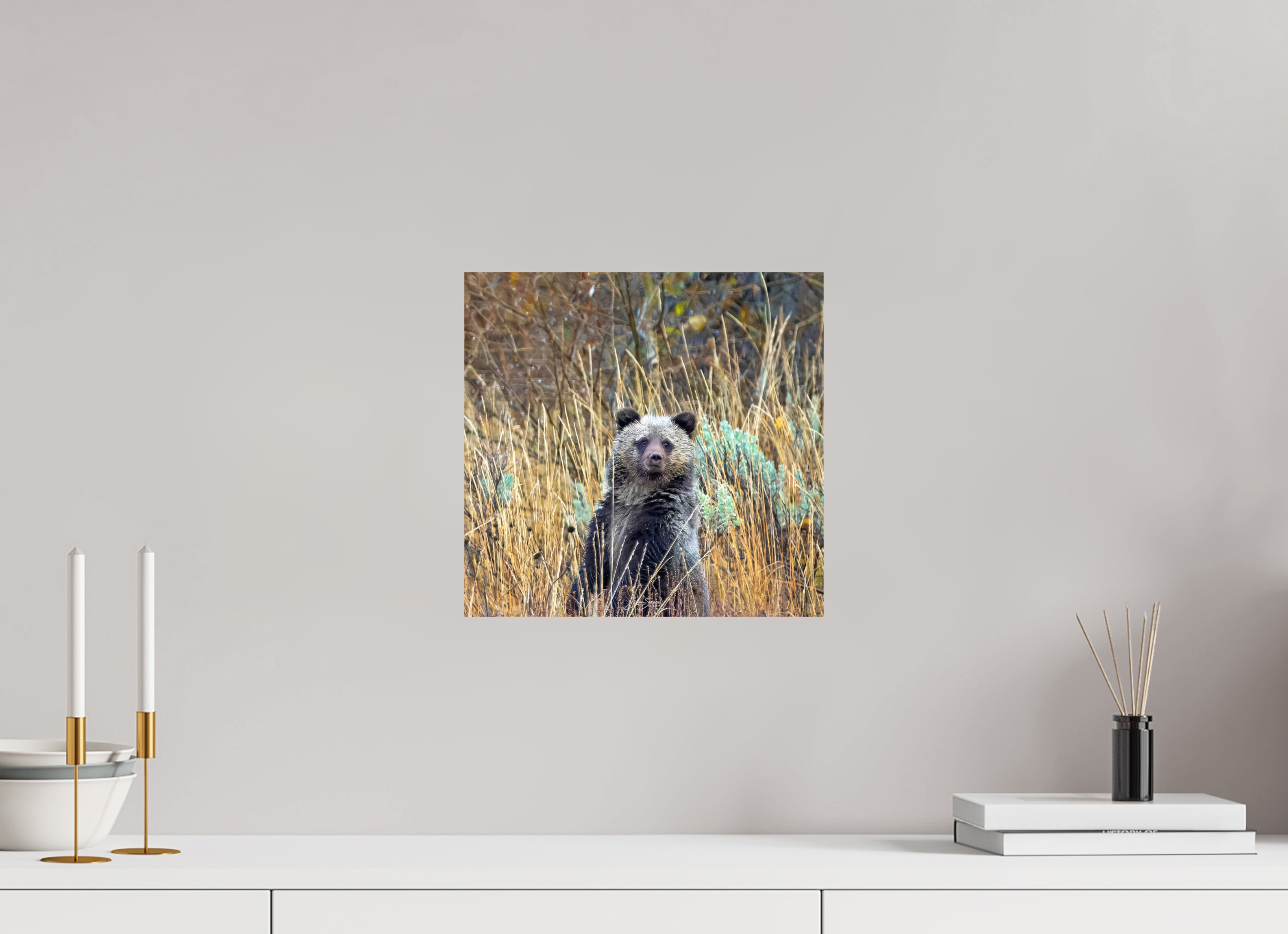 12.5 x 12″, Photo Print On Fuji Crystal DP II Cube looking for mom