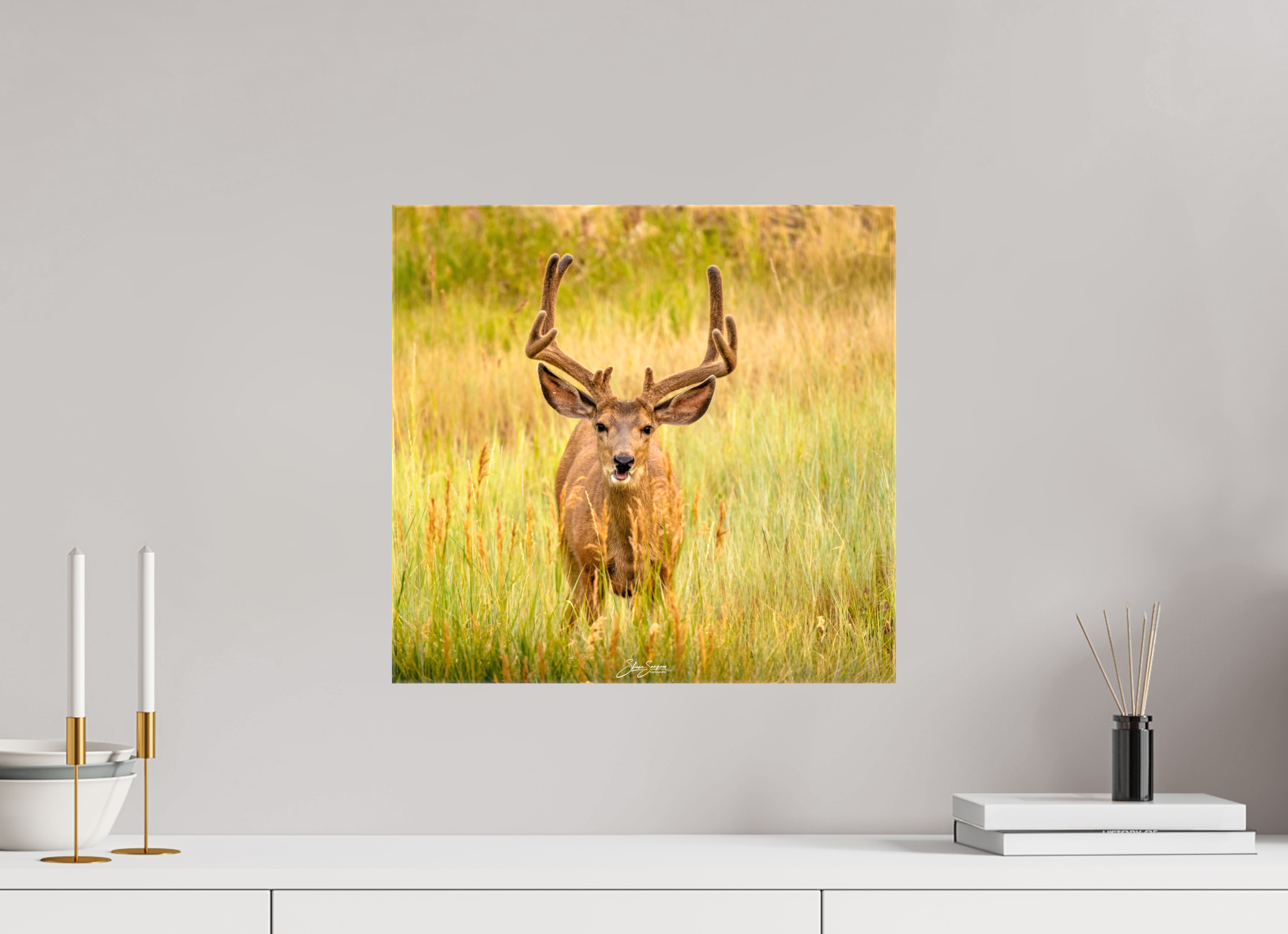 16.9 x 16″, Canvas Deer