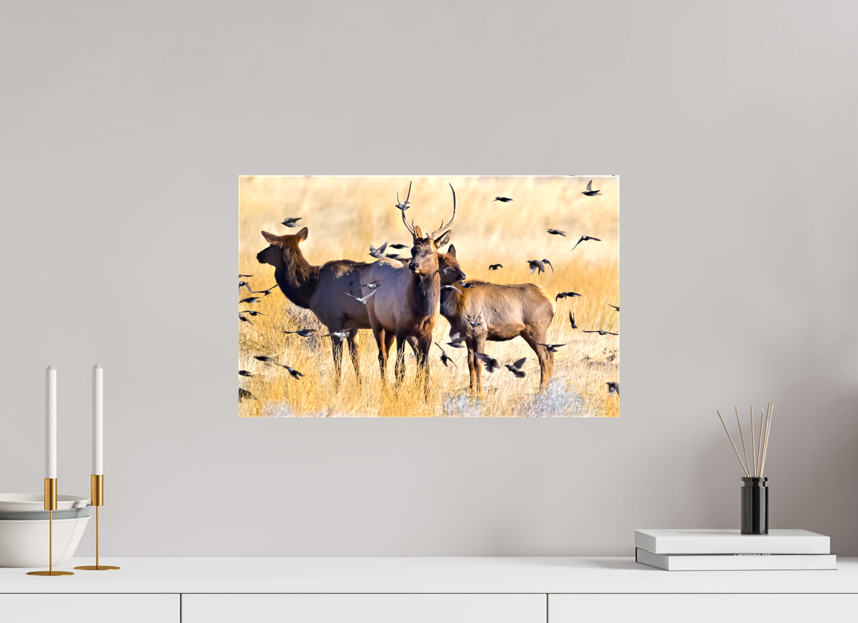 19.2 x 12″, Canvas Elk Birds