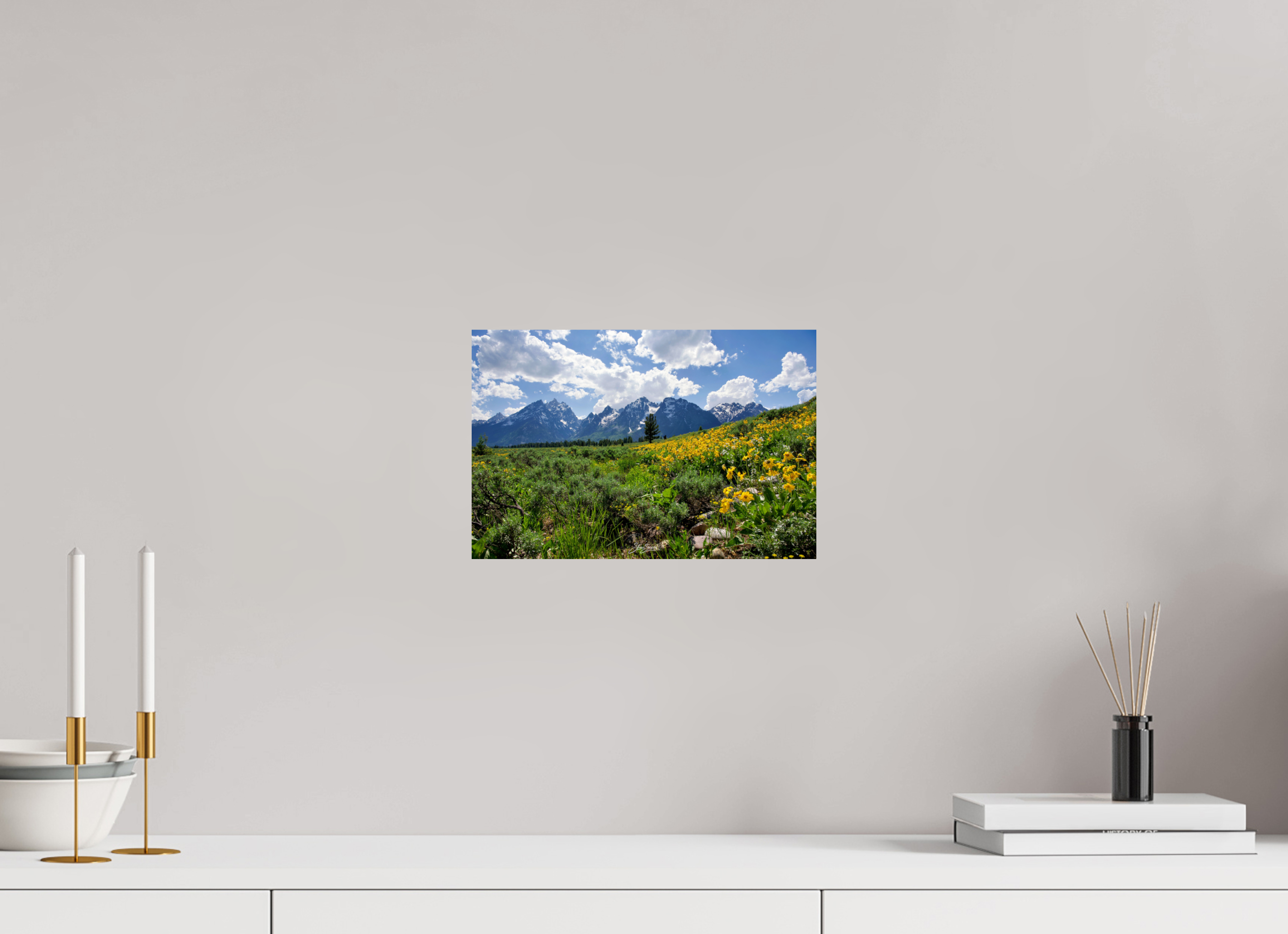 12 x 8″, Photo Print On Fuji Crystal DP II Tetons in sunflowers