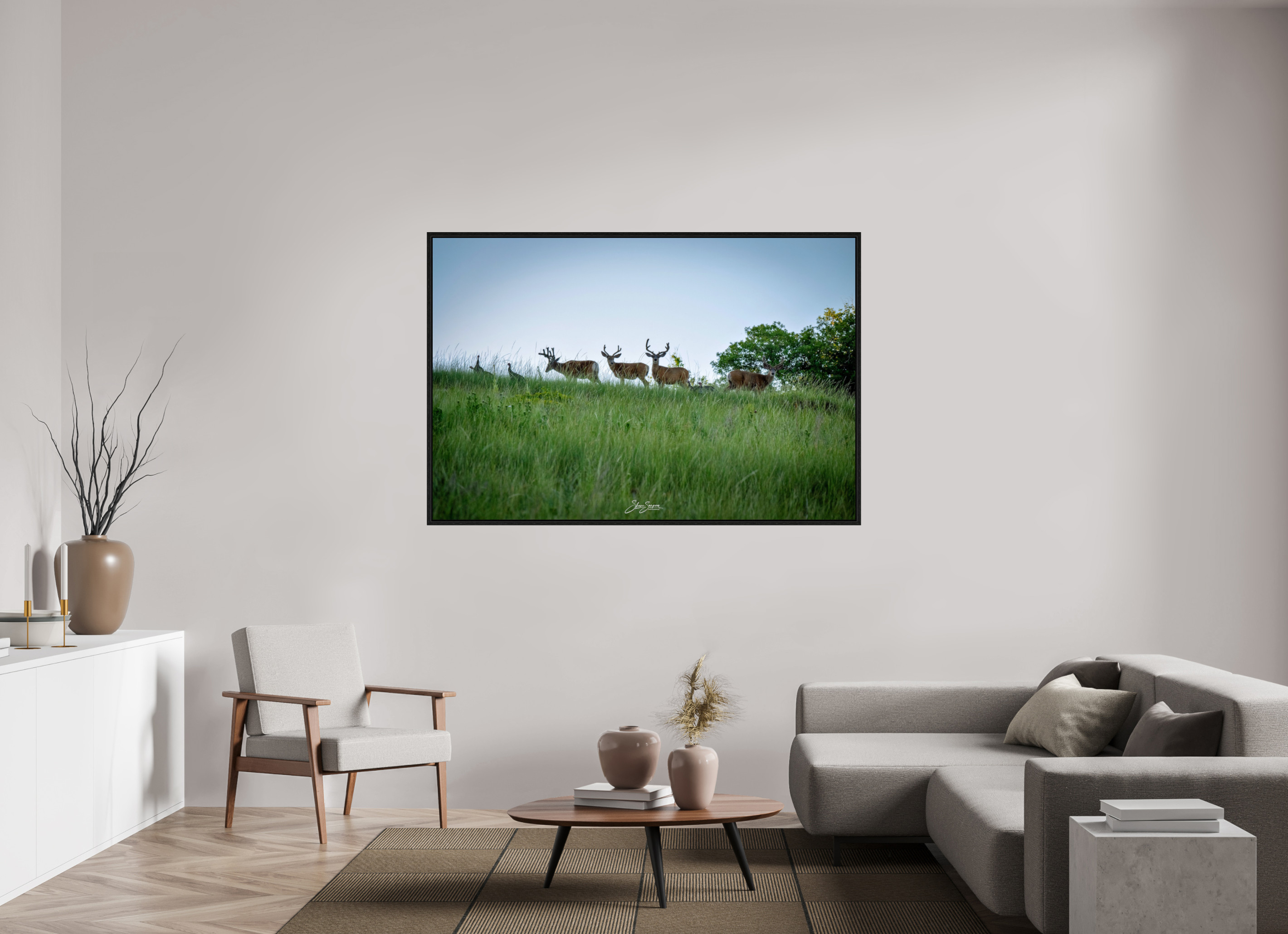 66 x 44″, Floater Frame Deer