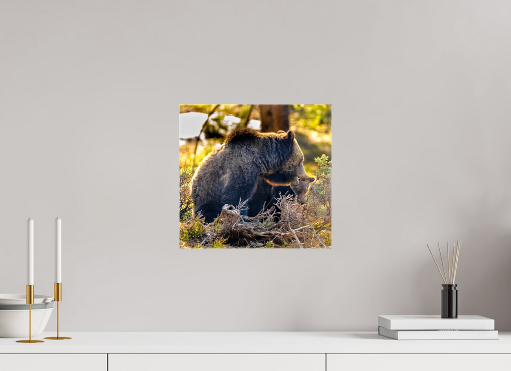 12.7 x 12″, Canvas 1063 and cub